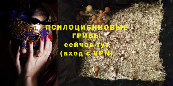 гашик Аркадак