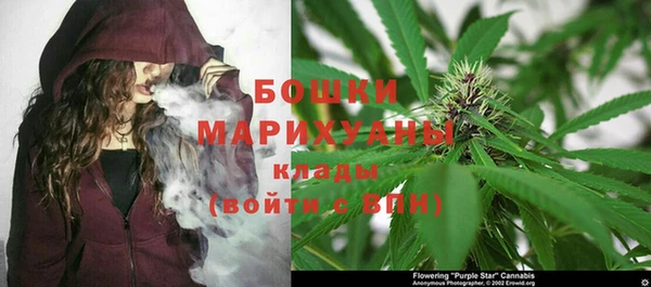 гашик Аркадак